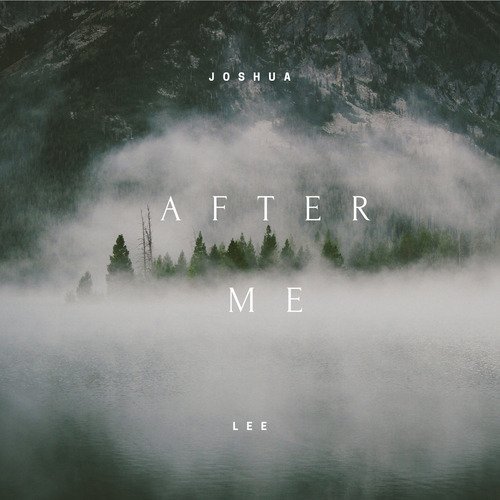 After Me_poster_image