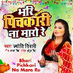 Bhari Pichkari Na Maro Re
