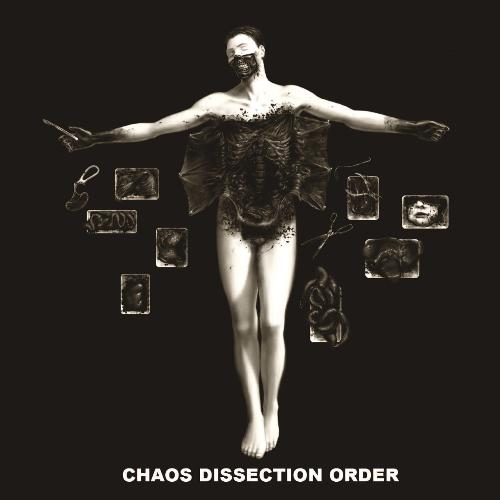 Dismal cover art