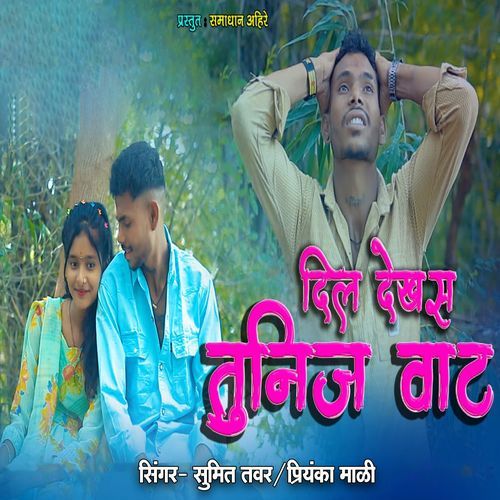 Dil Dekhas Tunij Vat