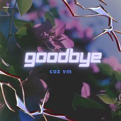 Goodbye-KTgHWx54WAA