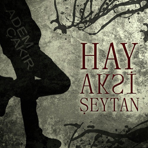 Hay Aksi Şeytan_poster_image