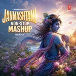 Janmashtami Non-Stop Mashup