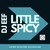 Little Spicy (David Caetano Remix)