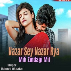 Nazar Sey Nazar Kya Mili Zindagi Mil (Gazal Song)-NC4MZiBecEc