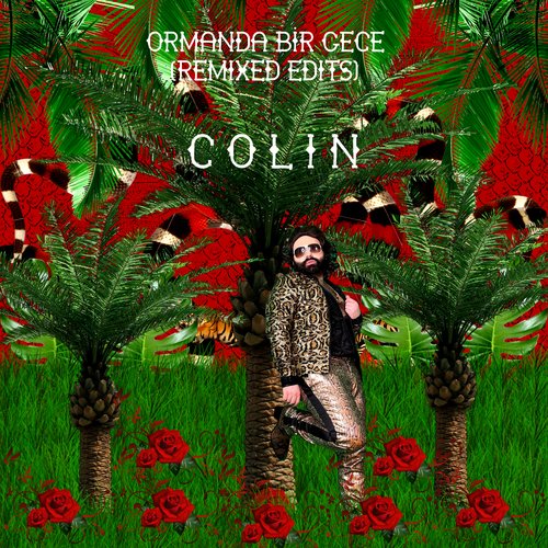 Japonya'da Bir Sahil Evim Var (İtalo-Disco Radyo Edit) cover art