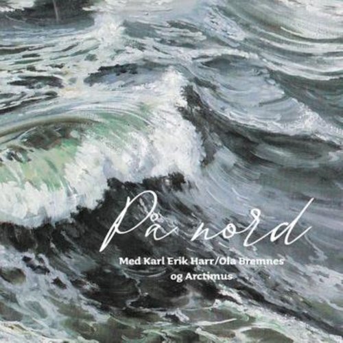 Sommervise (Instrumental Live) cover art
