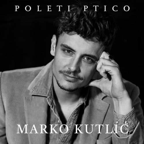 Poleti Ptico_poster_image