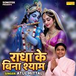 Radha Ke Bina Shyam