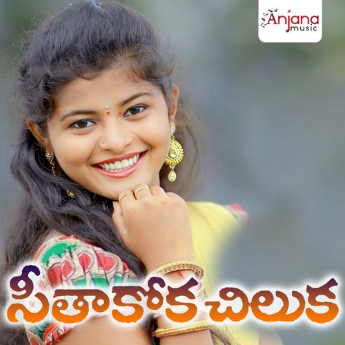 Seethakoka Chiluka (DJ Song)