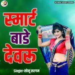 Smart Baade Dewaru