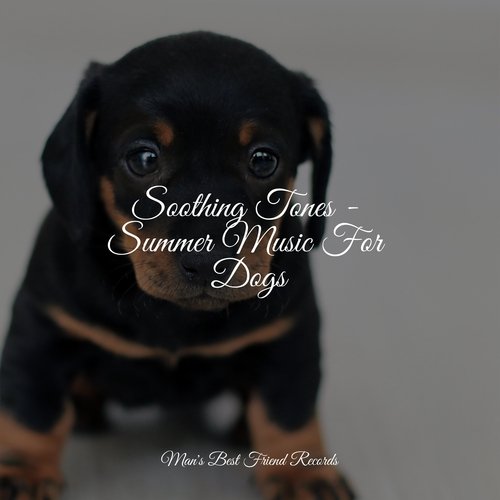 Meditating Music cover art