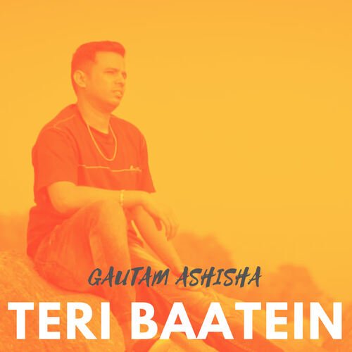 Teri Baatein