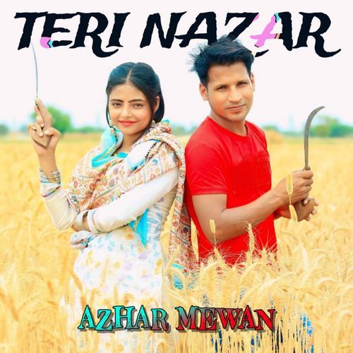 Teri Nazar