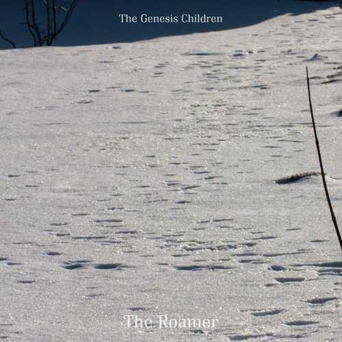 Deputy cover art