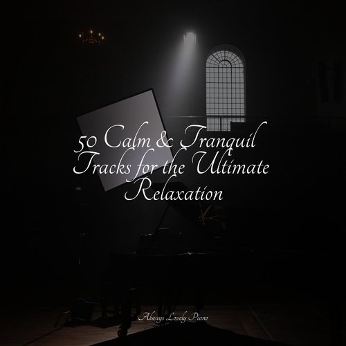 Tranquil Piano Tracks for Relaxation