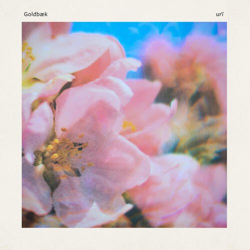 urï cover art