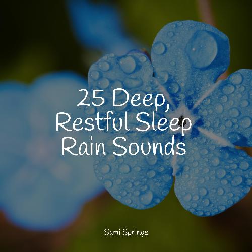 Rain, Storm and Thunder cover art