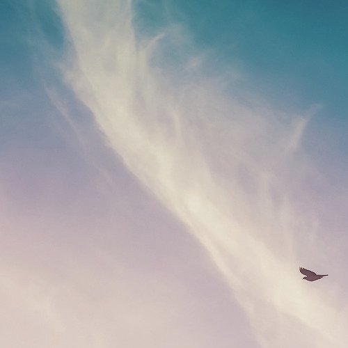 Viento cover art