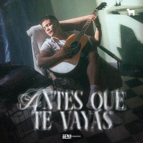 Antes Que Te Vayas_poster_image