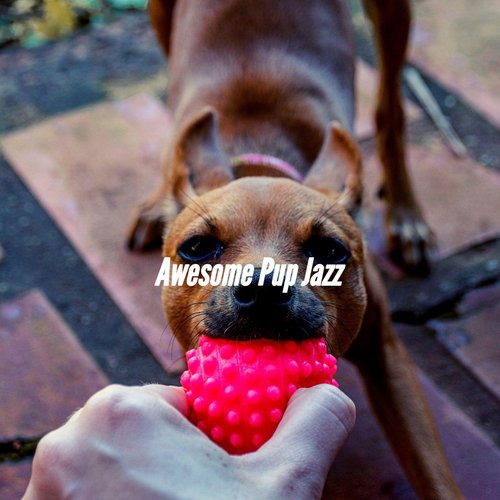 Background for Cool Dog cover art