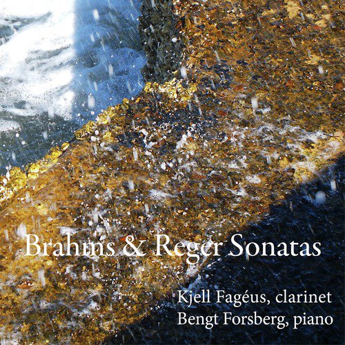 Brahms &amp; Reger Sonatas