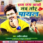 Chham Chham Bajau Jab Tor Payal (Maghi)
