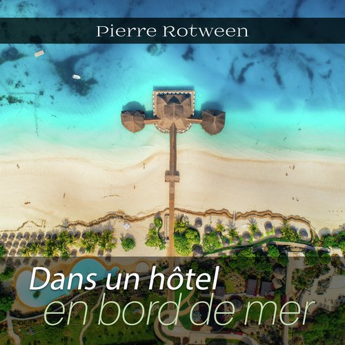 Dans mon âme cover art