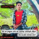 Dil to pagal chh ko samaj