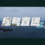 Dive In Green 綠島直送