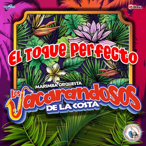 Solo Dejé Yo A Mi Padre Lyrics - El Toque Perfecto. Música de Guatemala  para los Latinos - Only on JioSaavn