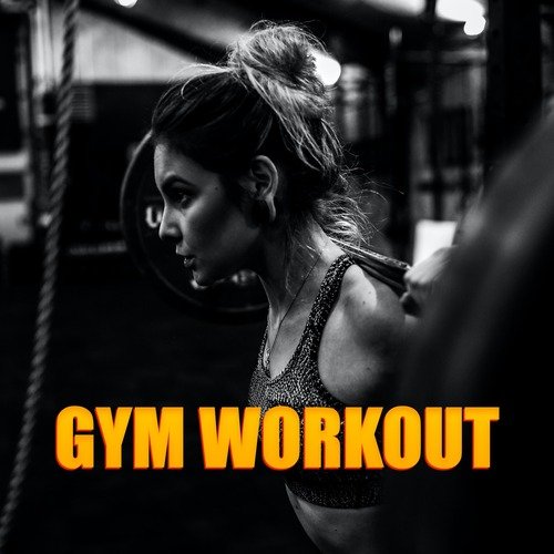 Gym Workout_poster_image