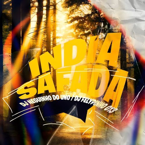 India Safada_poster_image