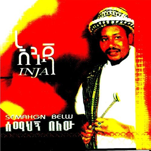Dmobla cover art