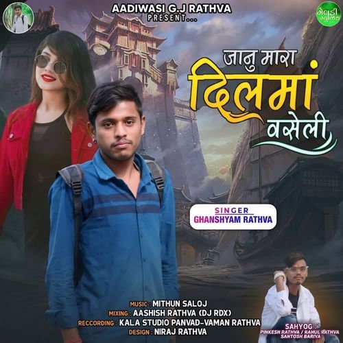 Janu Mara Dil Ma Vaseli