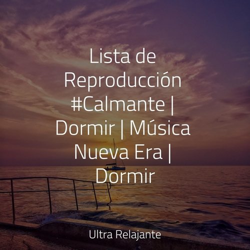 Lista de Reproducción #Calmante | Dormir | Música Nueva Era | Dormir_poster_image