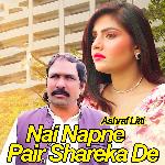 Nai Napne Pair Shareka De