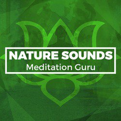Nature Sounds Meditation Guru