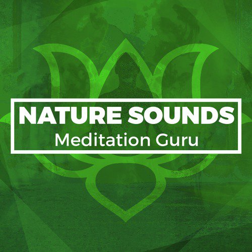 Nature Sounds Meditation Guru