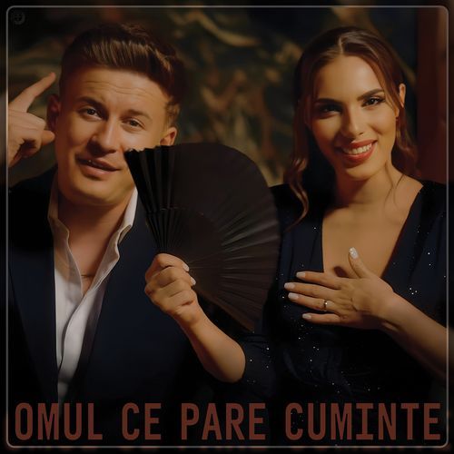 Omul Ce Pare Cuminte_poster_image