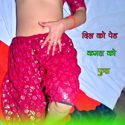 दिल को पेड कमल को फुल