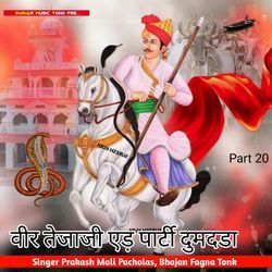 वीर तेजाजी एड़ पार्टी दुमदडा