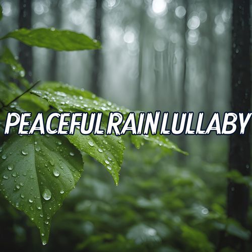 Peaceful Rain Lullaby: A Tranquil Melody for Sleep, Promoting Restful Nights and Sweet Dreams