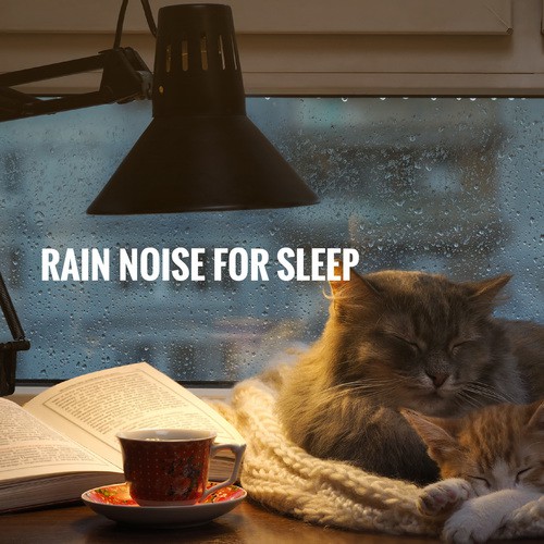 Sleep: The Calm Depths Of Rain