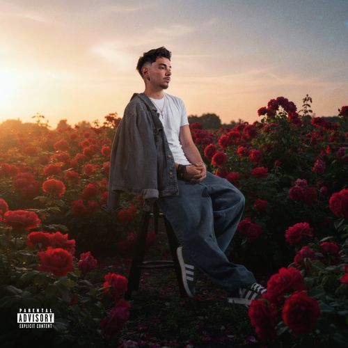 Rose Garden