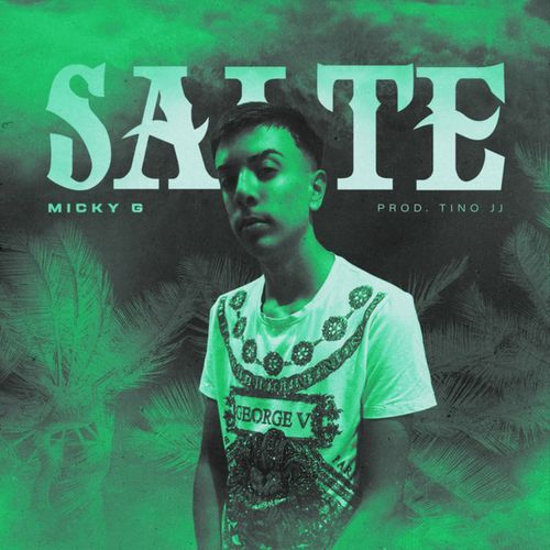 Salte cover art