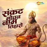 Sankat Mochan Naam Tiharo