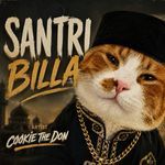 Santri Billa
