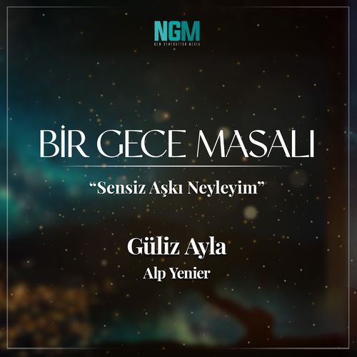 Sensiz Aşkı Neyleyim (Bir Gece Masalı)_poster_image