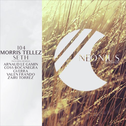 Seth (GVERRA Remix) cover art